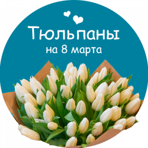 Купить тюльпаны в Подольске